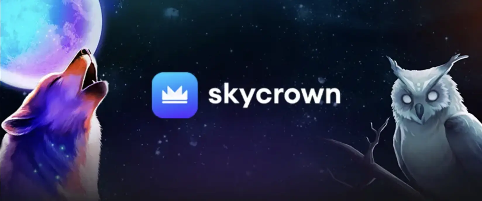 SkyCrown branded banner